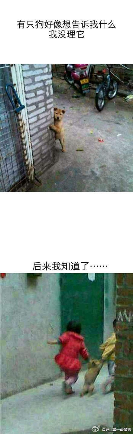 我觉得特别对不起它…… [转]
