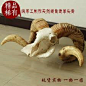“羊头骨”的图片搜索结果