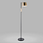 Black and Antiqued Brass Dominic Floor Lamp