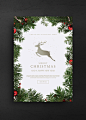 驯鹿奔跑 圣诞元素 圣诞狂欢 圣诞节主题海报设计PSD