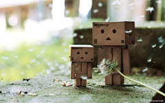 Lynn采集到Danbo 亚马逊小盒