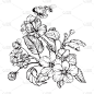 Vintage elegant flowers. Black and white vector il
