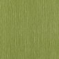 cloth_4 (1093)
