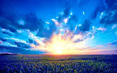 花海中的完美日出壁纸_素材下载_PS联盟