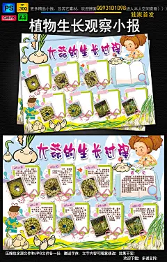 植物生长过程小报观察日记暑假手抄电子小报#手抄报花边##小报#