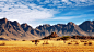 ID-944081-纳米比亚沙漠风景区高清大图