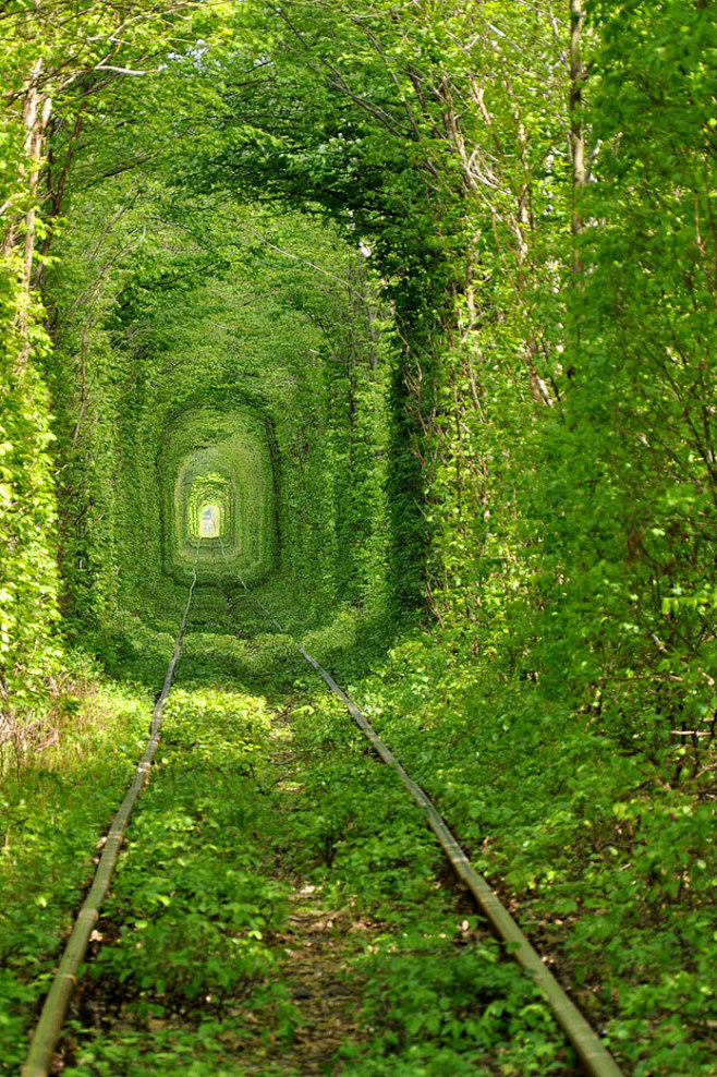 乌克兰“爱的隧道”（Tunnel of ...