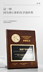 创意高端高档木质奖牌荣誉授权牌定制设计师证书聘书奖杯定做订制-tmall.com天猫