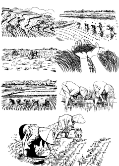 wanghui焱莜采集到插画海报