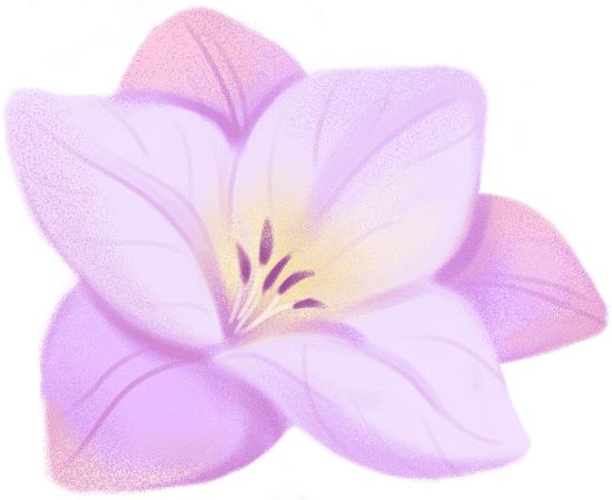 朦胧渐变噪点风花朵素材-紫色小苍兰
