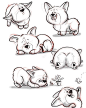 Just doodling corgis 