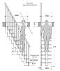 LOFT单人通过楼梯的尺寸图，这楼梯也太陡了吧，角度很高啊。