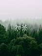 @大V宝剑 字体设计方法