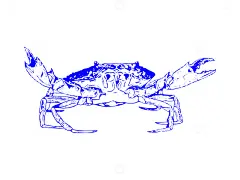 海鲜食材螃蟹河蟹海蟹线稿插画高清模板免费下载-趣麦麦图