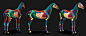 Horse Anatomy Kit 
