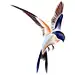 Birds : This was inspired in Line Art by the work of Victor Van Gaasbeek and Andrea Minini