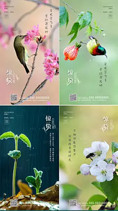 惊蛰节气海报系列-设计素材-shejisc.cn