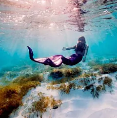 Bahamas Girl#创意# #壁纸##水下##水下摄影##美女##美人鱼##小清新#