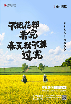 言午八宝采集到字体