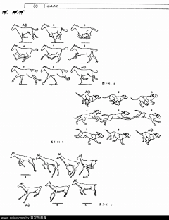 逆向悠采集到动画