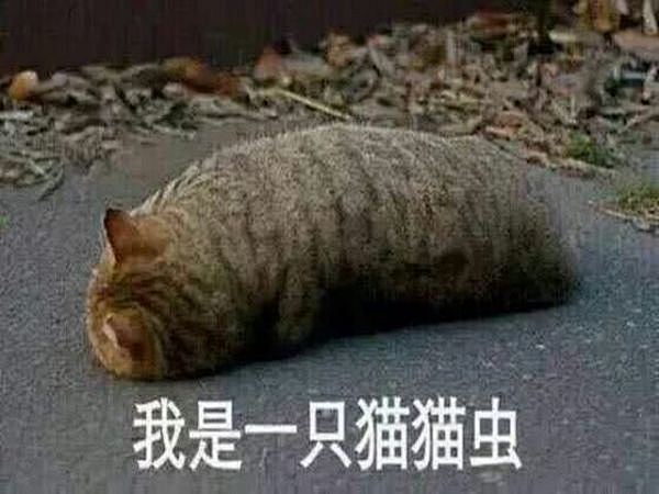 无聊图 - 蛋友贴图专版