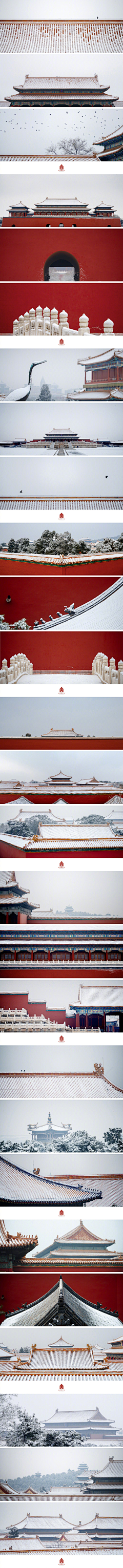 冷烛亦蕴情采集到风景