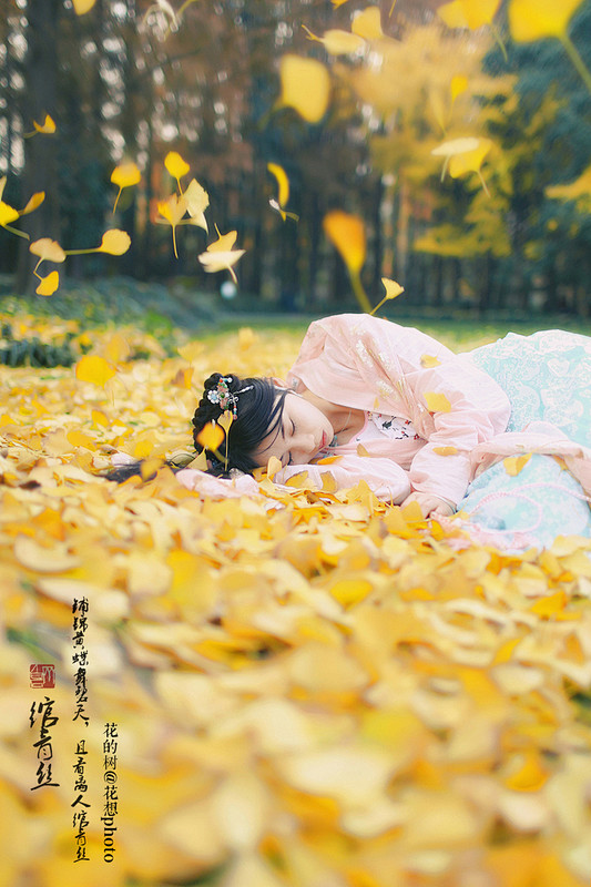 颇可网