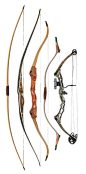 Left to right - Traditional English Longbow, Flat Bow, Recurve, Mongolian Bow, Compound Bow