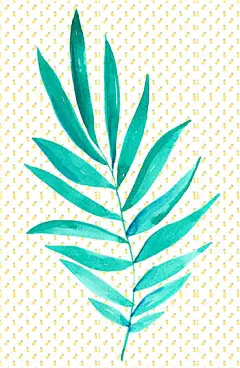 # 夏日##夏天#元素火烈鸟花朵#清新# #PNG#
#免抠#图片 #PSD后期# LOGO海报设计素材
创意素材 美图秀秀可用 #设计素材# 素材模板
芒果 菠萝 海星 花瓣  椰子 西瓜 草帽
相机 植物 素材