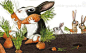 荷兰插画师Clotilde Goubely：贱兮兮_生活 : Clotilde Goubely Forest animals Clotilde Goubely 工作、生活在比利时布鲁塞尔。这位西欧插画师采用欧洲传…
