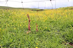 元宿文创：行走的兔子寻找有缘人
行走的兔子为北京元宿文创所原创的ip形象。具有鲜明的外观特征和个性特征。期待绘画高手能一起合作丰富兔子的动漫形象，比如，插画，动漫，表情包，手帐，vi，包装设计，衍生品设计等，待遇从优，签订合同。
联系方式：yuansuip@163.com
手机：18201362080。
官方微博：行走的兔子-元宿文创，
官方微信公众号：行走的兔子