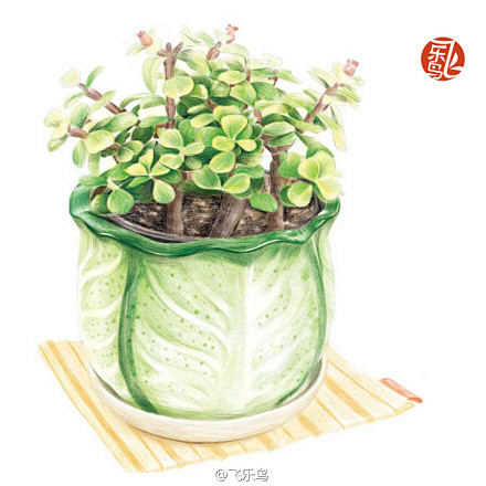 #飞乐鸟作品# 《植物绘Ⅱ》——养一盆绿...