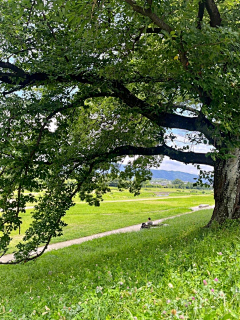 饭困la采集到场景 风景  物 喜欢 素材