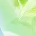 Pin page
