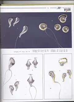 1209-10010