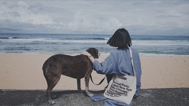 海边的纽卡斯尔。 - 徐一叉 - CNU...