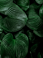 Photo by Benedict Meyer zu Strohe on Unsplash : Wallpaper. Download this photo by Benedict Meyer zu Strohe on Unsplash