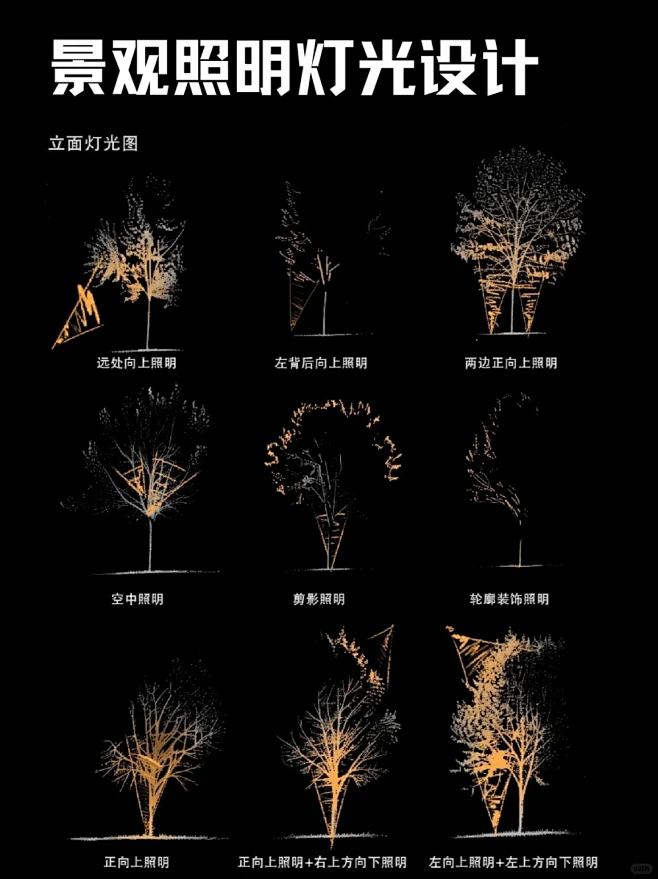 景观干货｜树木景观照明的9种树木灯光设计
