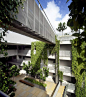 新加坡艺术高中 垂直绿化