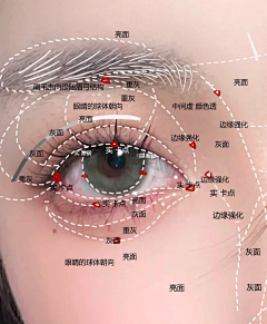 结构-花瓣网|陪你做生活的设计师 | 睛结构，准确把握眼睛及眼轮匝肌特征。 2.了解鼻子结构，包括鼻根、鼻梁、鼻背、鼻翼、鼻尖和鼻孔的结构关系 ...