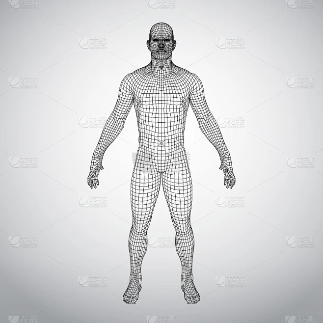 3D wire frame human body Polygonal Low Poly素材-花瓣网