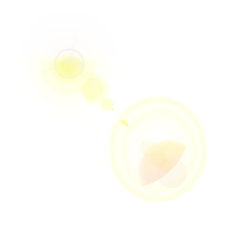 HALLS`采集到FX