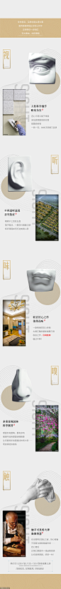 源文件下载- 订阅号公众号长图产品地产艺术拉页