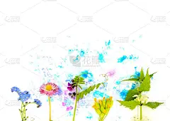 春天枯黄的嫩荨麻、雏菊等五月花和手绘的蓝色和粉色水彩斑点。装饰元素隔离在白色背景上，花卉装饰与自由复