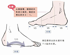 HK_Seigo采集到教程-形体