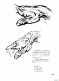 伯里曼人体结构绘画 (237).jpg