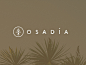 Osadia Tequila : I wanted to create something modern / elegant to go along with the brand but really eye catching and authentic to stand off store shelves and to be seen from a distance in a crowded bar. The mark itself is an abstract agave plant in a geo