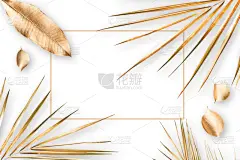 黄金,叶子,复叶,贺卡,周年纪念卡,彩色背景,情人节卡,棕榈叶,背景,生日卡