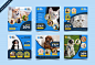 Pet shop social media post template Premium Vector