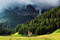 alp impressions XIII : Location: South Tyrol / Südtirol, Italy